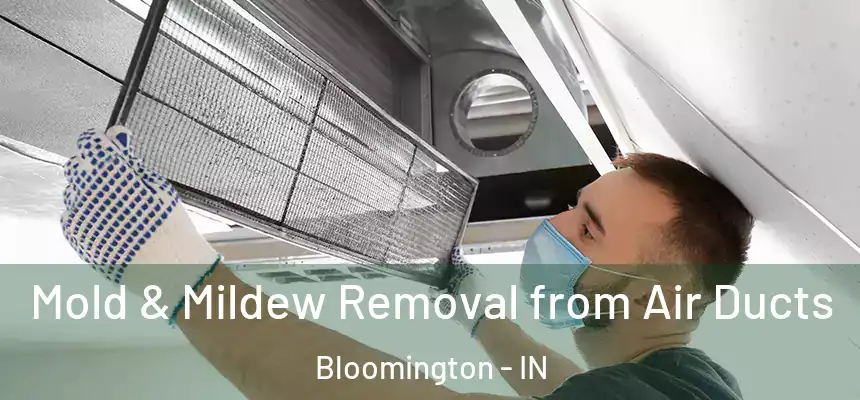 Mold & Mildew Removal from Air Ducts Bloomington - IN