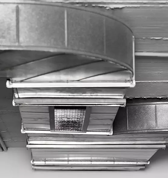 Professional Air Duct Pet Hair Removal in Bloomington, IN