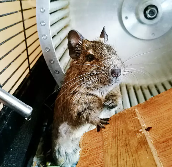 Why Homeowners & Businesses Trust Us Bloomington, IN